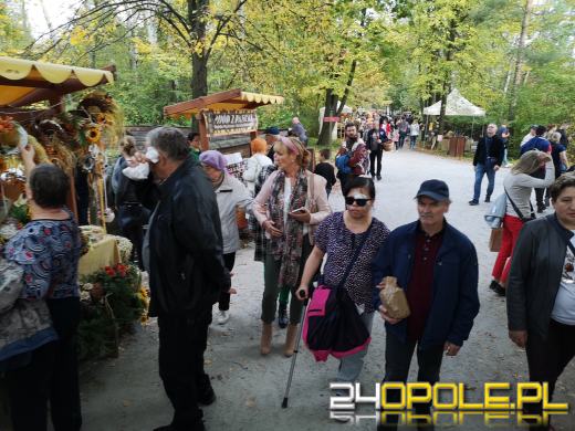 Duże zainteresowanie Targami Miodu i Rękodzieła w Bierkowicach