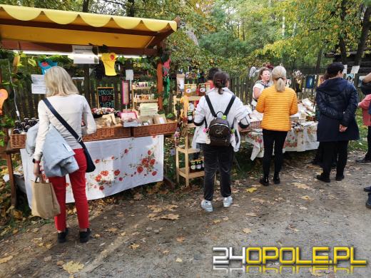 Duże zainteresowanie Targami Miodu i Rękodzieła w Bierkowicach
