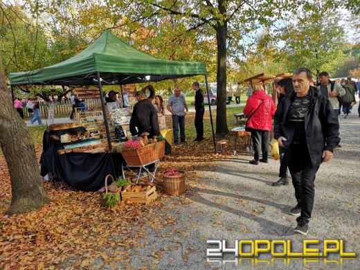 Duże zainteresowanie Targami Miodu i Rękodzieła w Bierkowicach