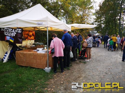 Duże zainteresowanie Targami Miodu i Rękodzieła w Bierkowicach