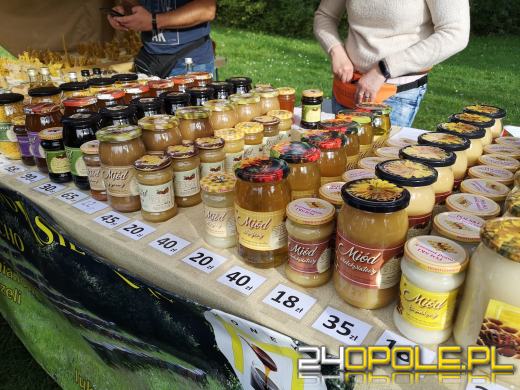 Duże zainteresowanie Targami Miodu i Rękodzieła w Bierkowicach