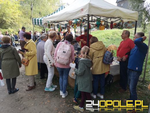 Duże zainteresowanie Targami Miodu i Rękodzieła w Bierkowicach
