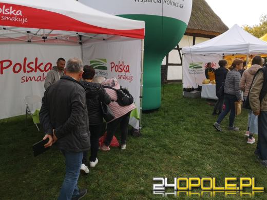 Duże zainteresowanie Targami Miodu i Rękodzieła w Bierkowicach