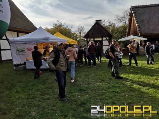 Duże zainteresowanie Targami Miodu i Rękodzieła w Bierkowicach