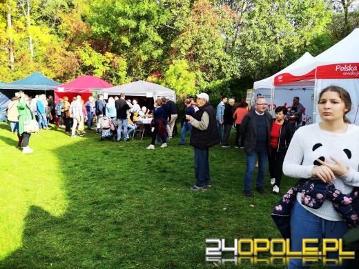 Duże zainteresowanie Targami Miodu i Rękodzieła w Bierkowicach