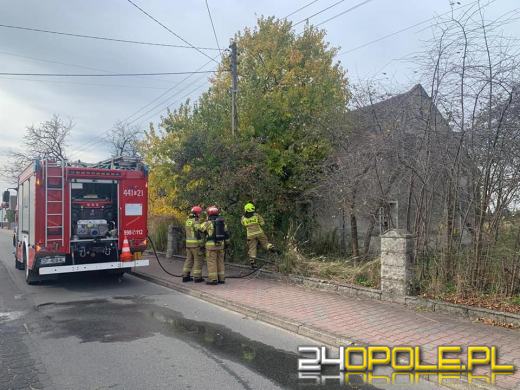Pożar domu w Gogolinie. W akcji 5 zastępów straży pożarnej
