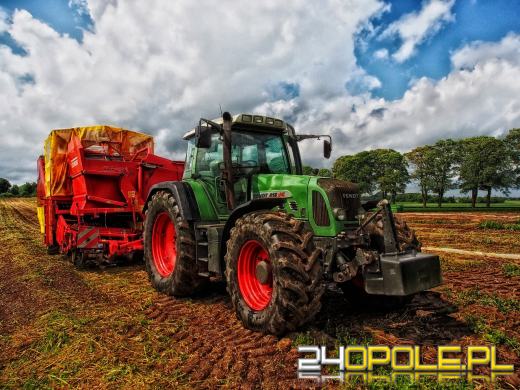 Do czego służą pasy transportowe?