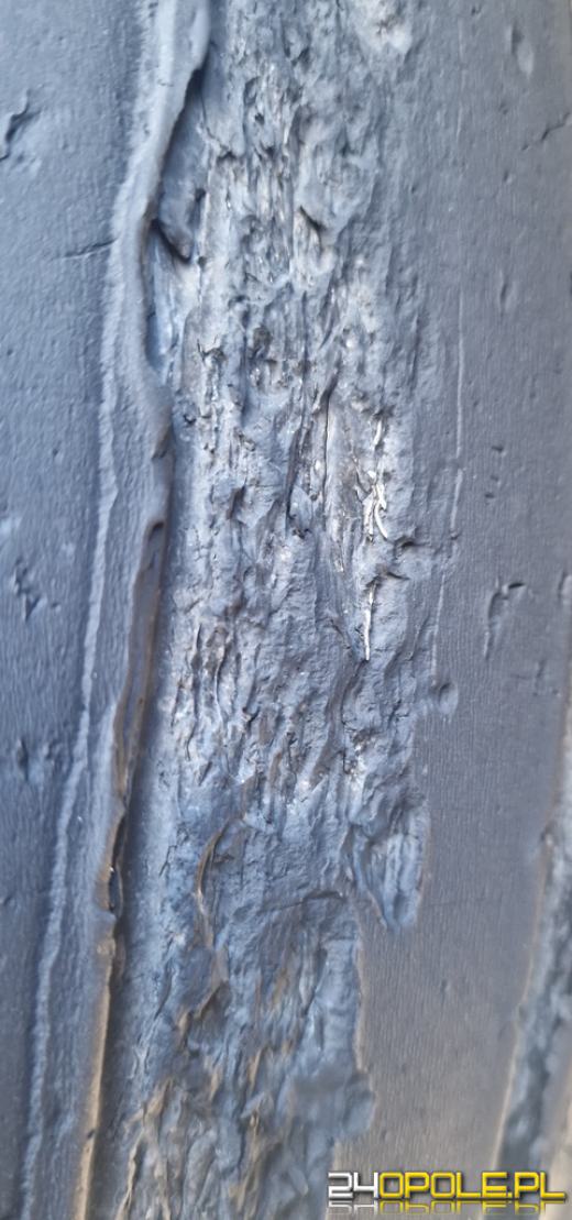 Stanowił zagrożenie w ruchu drogowym - nie wjechał do Polski