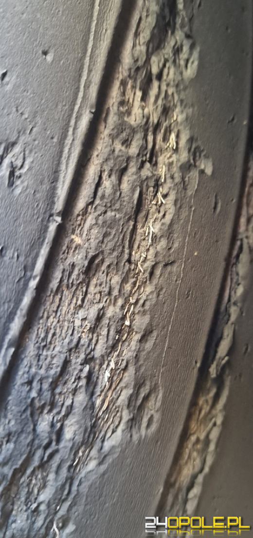 Stanowił zagrożenie w ruchu drogowym - nie wjechał do Polski