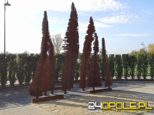 Pomnik ku pamięci ofiar Covid-19 już stoi na opolskim cmentarzu. Kosztował 90 tysięcy złotych