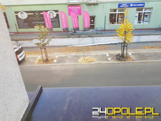 Nowe oświetlenie na Kośnego w Opolu postawiono na...miejscach parkingowych