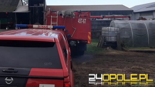 Kopalina: 10 jednostek straży gasi pożar silosu ze zbożem