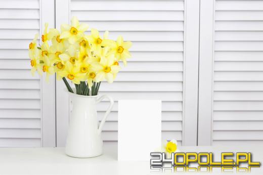 Żaluzje drewniane - jakie mogą pojawić się usterki?