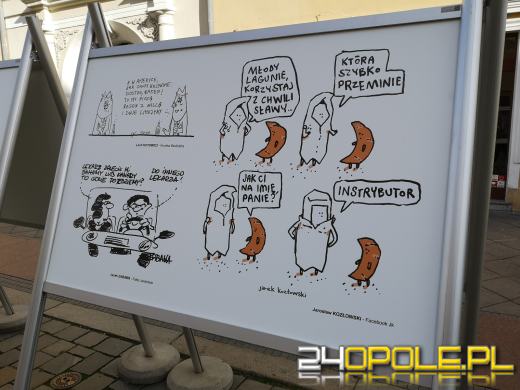 Wystawa rysunku prasowego pod opolskim Ratuszem