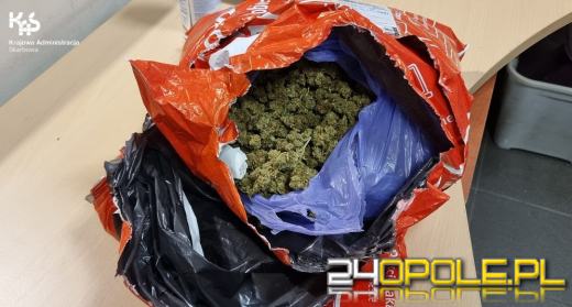 Prowadził pod wpływem marihuany i przewoził narkotyki. Zatrzymanie na autostradzie A4