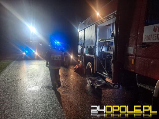 Zderzenie pojazdów w powiecie strzeleckim. Jedna osoba trafiła do szpitala