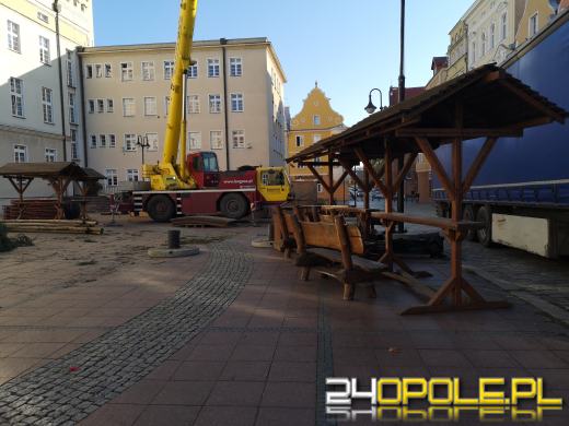 Choinki już parkują na rynku. Opole przygotowuje się do Jarmarku Bożonarodzeniowego