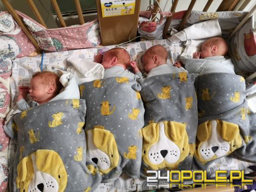 Dziś obchodzimy Dzień Wcześniaka