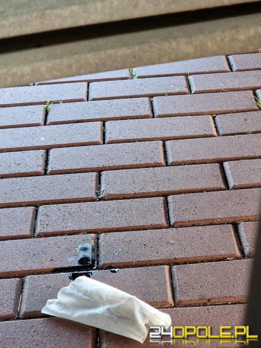 Pojazd z niebezpieczną usterką zatrzymany przez WITD