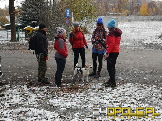 Wbiegali i wchodzili na Kopę Biskupią promując profilaktykę nowotworową