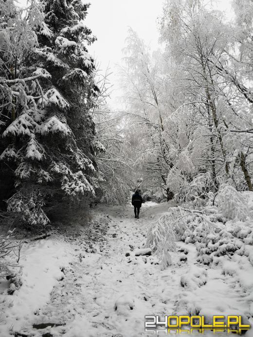 Wbiegali i wchodzili na Kopę Biskupią promując profilaktykę nowotworową