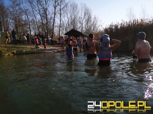 Morsy doczekały się ujemnej temperatury. Wtedy woda jest najlepsza!