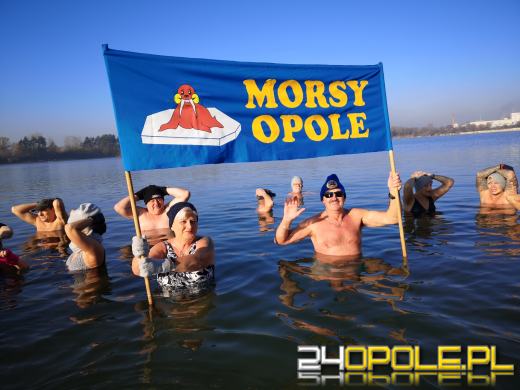 Morsy doczekały się ujemnej temperatury. Wtedy woda jest najlepsza!