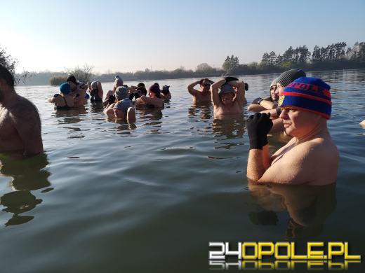 Morsy doczekały się ujemnej temperatury. Wtedy woda jest najlepsza!