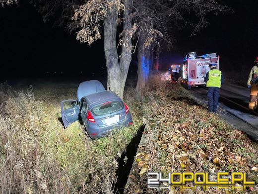 Wypadek w Ciepielowicach. Auto uderzyło w drzewo