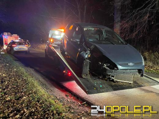 Wypadek w Ciepielowicach. Auto uderzyło w drzewo