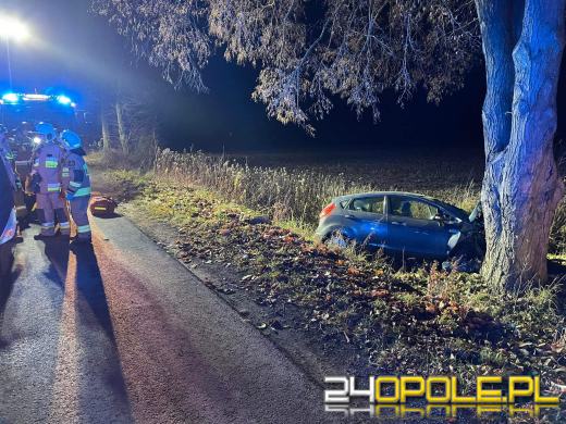 Wypadek w Ciepielowicach. Auto uderzyło w drzewo