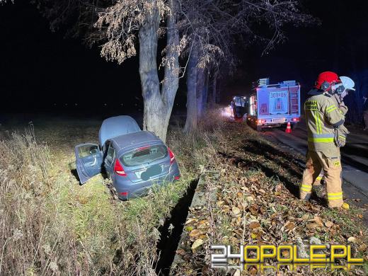 Wypadek w Ciepielowicach. Auto uderzyło w drzewo