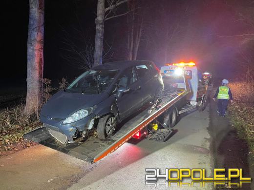 Wypadek w Ciepielowicach. Auto uderzyło w drzewo