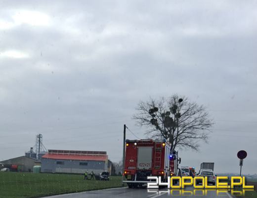 Kolejny tragiczny wypadek na Opolszczyźnie! Nie żyje 6-latka