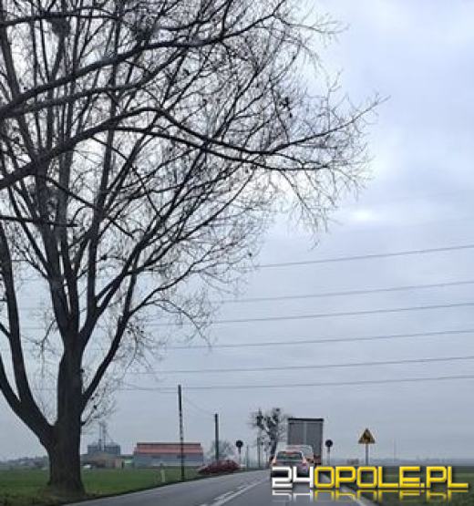 Kolejny tragiczny wypadek na Opolszczyźnie! Nie żyje 6-latka