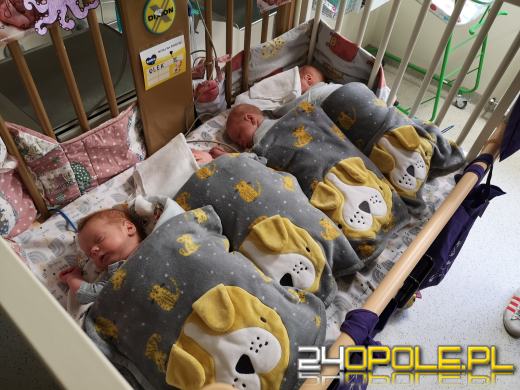 Opolskie Czworaczki wracają do domu! 