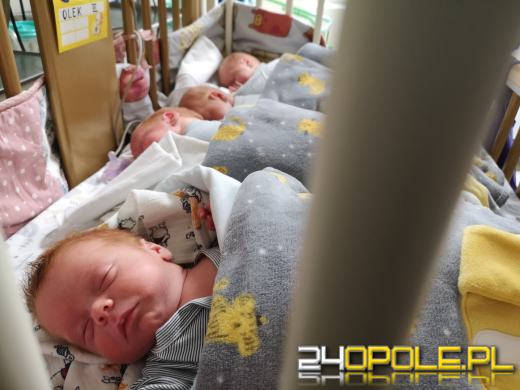 Opolskie Czworaczki wracają do domu! 