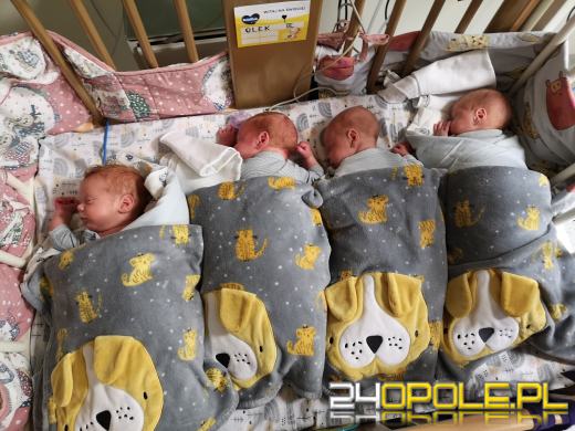 Opolskie Czworaczki wracają do domu! 