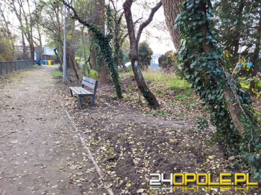 Przy Kamionce Piast będzie monitoring. Trwa montaż światłowodów