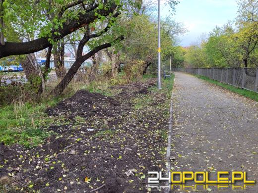 Przy Kamionce Piast będzie monitoring. Trwa montaż światłowodów