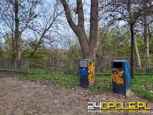 Przy Kamionce Piast będzie monitoring. Trwa montaż światłowodów