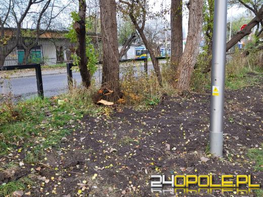 Przy Kamionce Piast będzie monitoring. Trwa montaż światłowodów