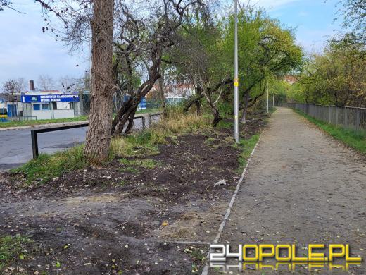 Przy Kamionce Piast będzie monitoring. Trwa montaż światłowodów