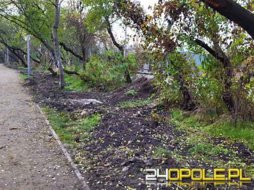 Przy Kamionce Piast będzie monitoring. Trwa montaż światłowodów