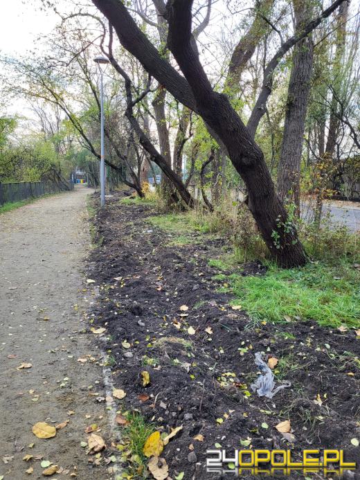 Przy Kamionce Piast będzie monitoring. Trwa montaż światłowodów