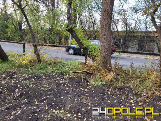 Przy Kamionce Piast będzie monitoring. Trwa montaż światłowodów