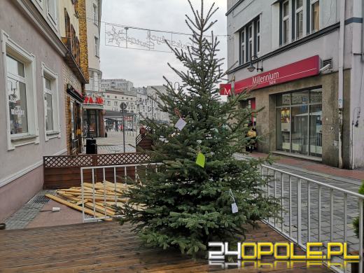 Przed Talentownią tradycyjnie stanęła choinka życzeń. Jest wiele marzeń do spełnienia!