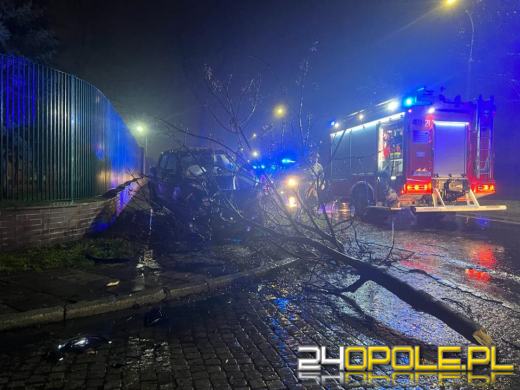 Brzeg: Auto uderzyło w drzewo. Nie żyje kierowca