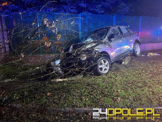 Brzeg: Auto uderzyło w drzewo. Nie żyje kierowca