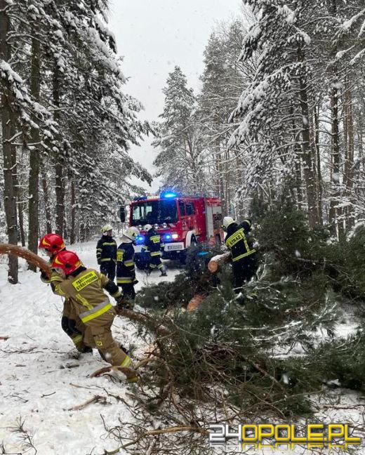 Służby cały czas wyjeżdżają do kolizji drogowych. Warunki są wręcz...ekstremalne